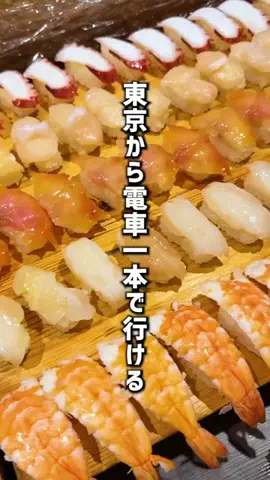 もじゃたび⌇静岡発✈︎旅行・観光・ホテルのTikTok投稿