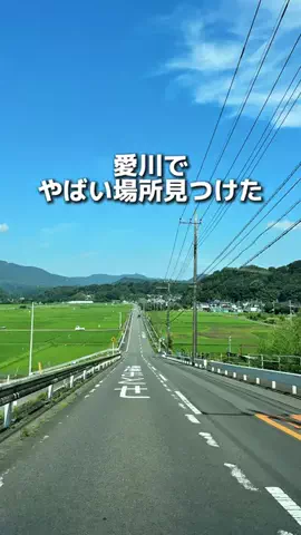 えびなびのTikTok投稿