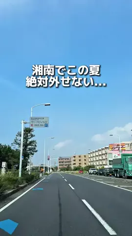 えびなびのTikTok投稿
