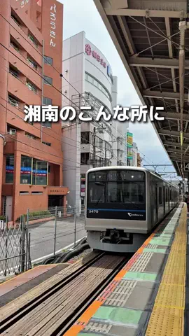 えびなびのTikTok投稿