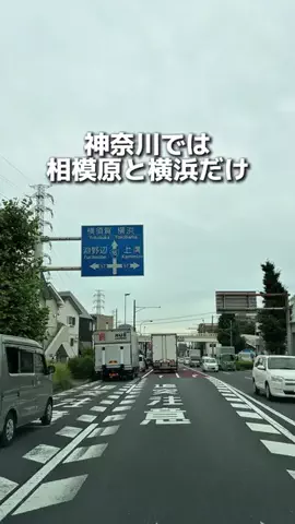 えびなびのTikTok投稿