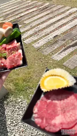 kikitabi123のTikTok投稿