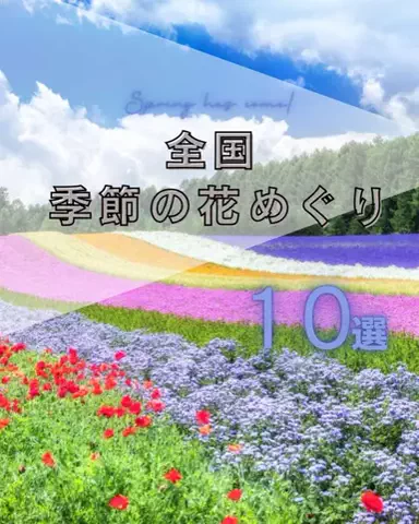 Trend Petit｜トレンドプチのTikTok投稿
