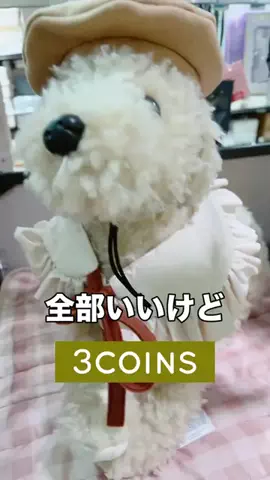 3coins_hiiのTikTok投稿