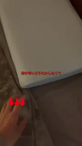 田中@ショップレビューのTikTok投稿