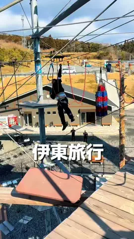 poi_pipiのTikTok投稿