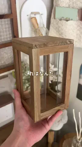 salut_emiのTikTok投稿