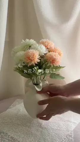 salut_emiのTikTok投稿