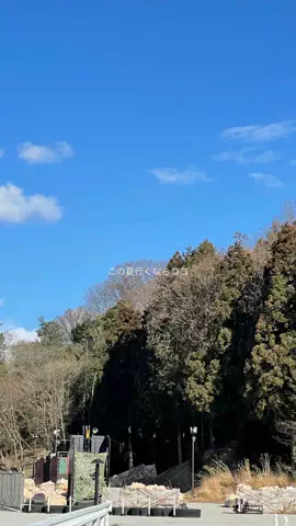 なみちゃん旅のTikTok投稿