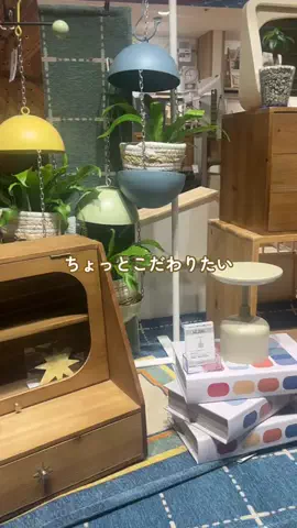 salut_emiのTikTok投稿