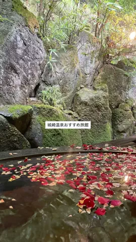 なみちゃん旅のTikTok投稿
