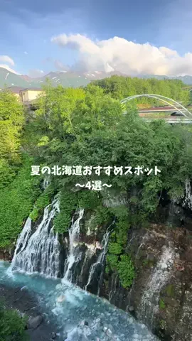 なみちゃん旅のTikTok投稿