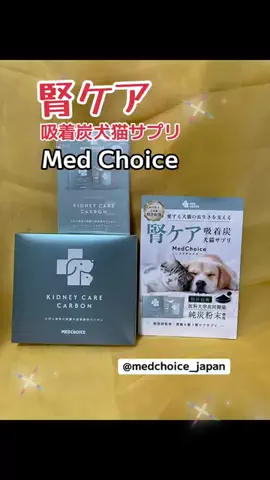 いぬのじかん to kimono着楽のTikTok投稿
