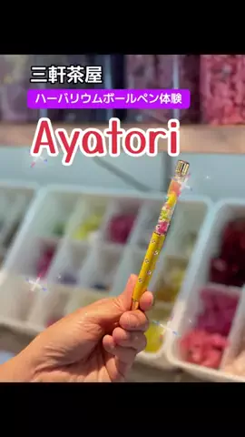 いぬのじかん to kimono着楽のTikTok投稿