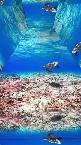 ぐりぐらママ@子連れ旅行で一度は行きたいスポット巡りのTikTok投稿