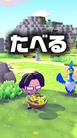 怒鳴るド🪿💢のTikTok投稿