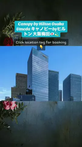 💕🇯🇵サヌ🇱🇰💕のTikTok投稿
