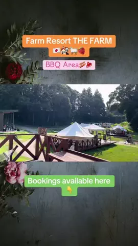 💕🇯🇵サヌ🇱🇰💕のTikTok投稿