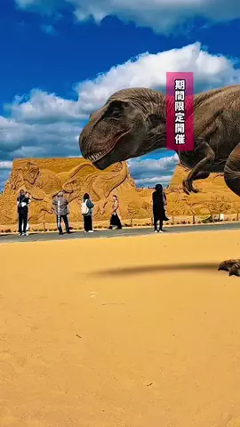 ゆきんこのTikTok投稿