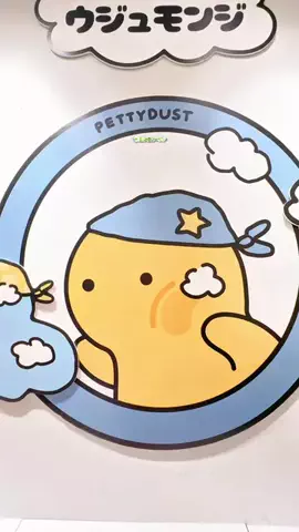ゆきんこのTikTok投稿