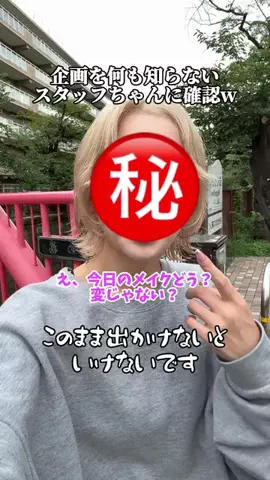 デコピンの棚のTikTok投稿
