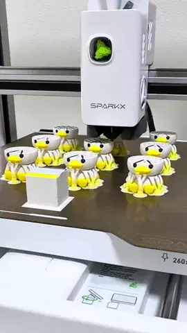 にゃんだ子🐥アヒルの人のTikTok投稿
