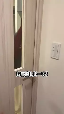 ぜろぷりのTikTok投稿