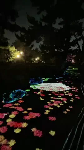 ゆきんこのTikTok投稿
