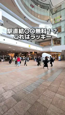 りこモグのTikTok投稿