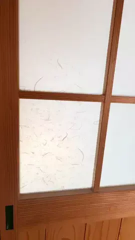 ゆきんこのTikTok投稿