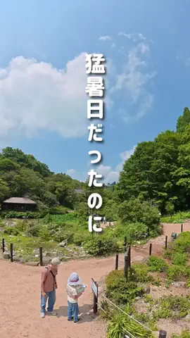 みぃ＊子連れ旅行好き関西ママのTikTok投稿