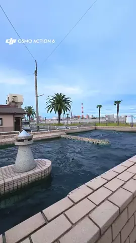 まつこ🍵地元民による三重観光やスポット紹介のTikTok投稿