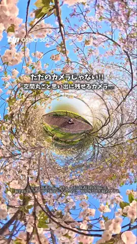まつこ🍵地元民による三重観光やスポット紹介のTikTok投稿