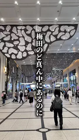 まだ考え中... 大阪 関西グルメのTikTok投稿