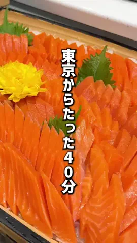 もじゃたび⌇静岡発✈︎旅行・観光・ホテルのTikTok投稿