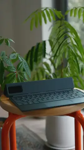 ポールの浪漫のTikTok投稿