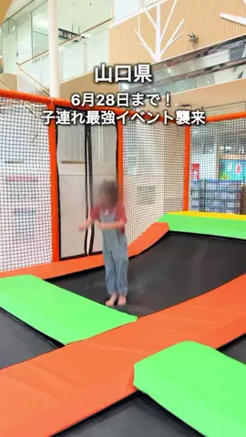 わいすぽ🐡山口県“見るだけ”おでかけ攻略のTikTok投稿