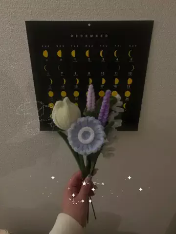 楓梨のTikTok投稿