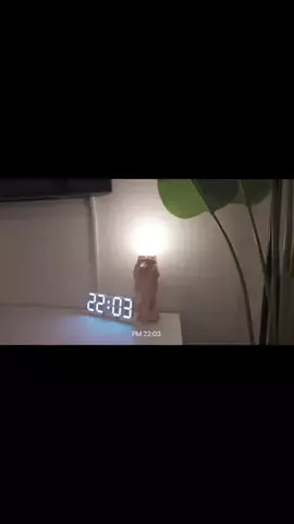 risa🍎のTikTok投稿