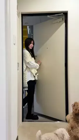 ちょん l 愛犬2匹と暮らすシングルマザーのTikTok投稿