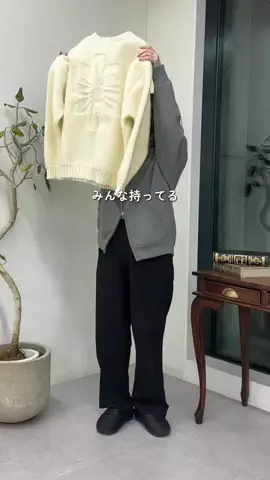 ヒジリのTikTok投稿
