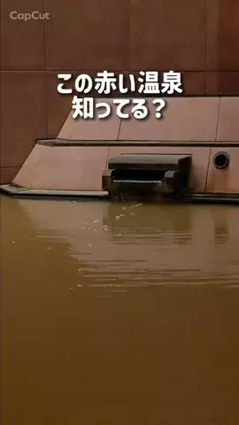 MOROTAAN✈️出張の楽しみのTikTok投稿