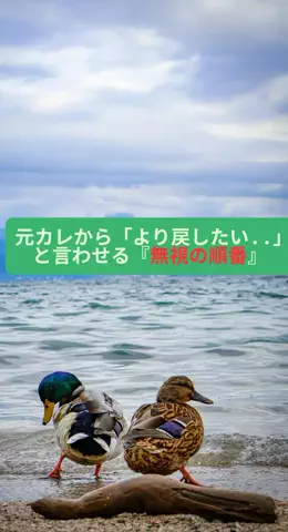 takuのTikTok投稿