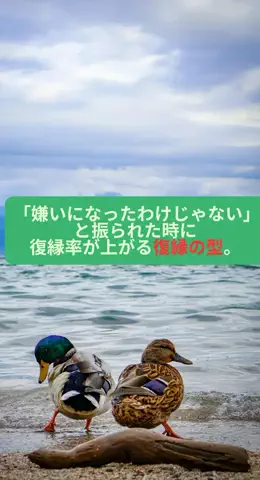 takuのTikTok PR投稿：#恋愛 #モテテク #恋愛テクニック #復縁 #pr 