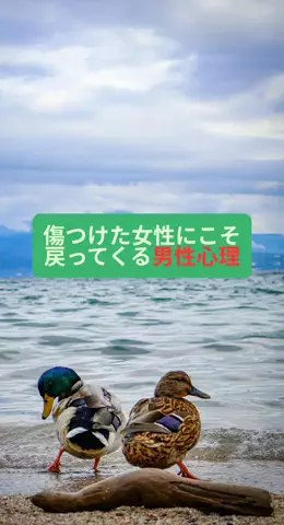 takuのTikTok投稿