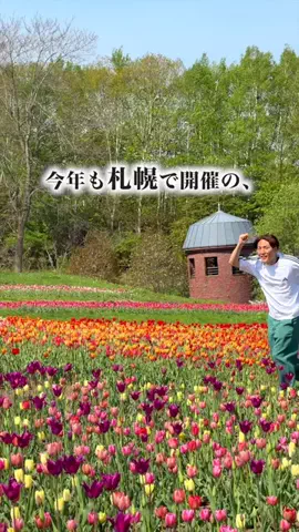旅と北海道｜ROYのTikTok投稿