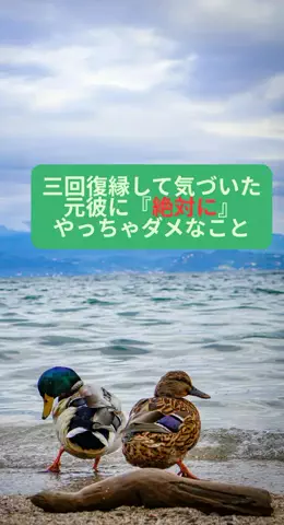 takuのTikTok PR投稿：#恋愛 #モテテク #恋愛テクニック #復縁 #pr 