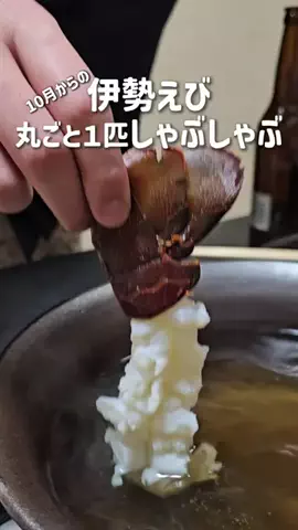 MOROTAAN✈️出張の楽しみのTikTok投稿
