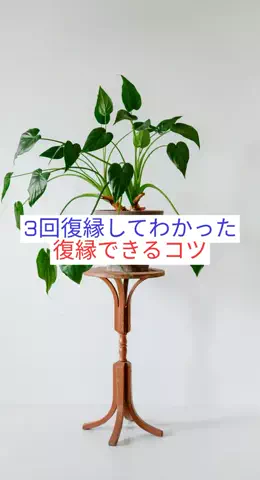 takuのTikTok PR投稿：#恋愛 #モテテク #復縁 #恋愛テクニック #pr 