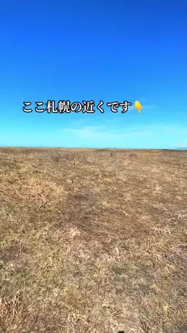 しもじぇ〜のTikTok投稿